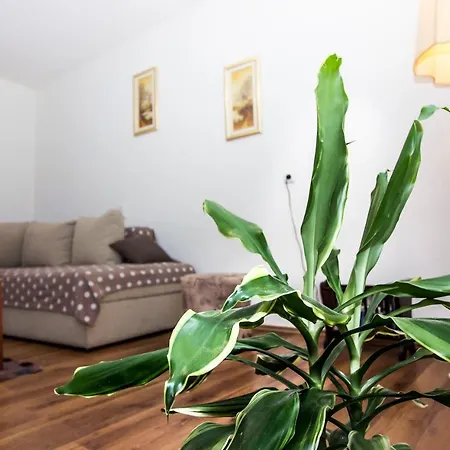 Barakuda 스플리트